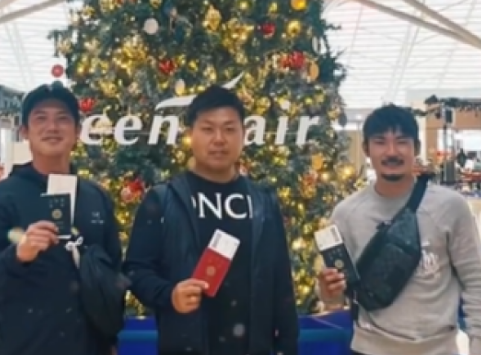 株式会社Dcollectionチーム